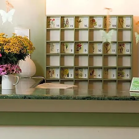Flora 호텔 3*