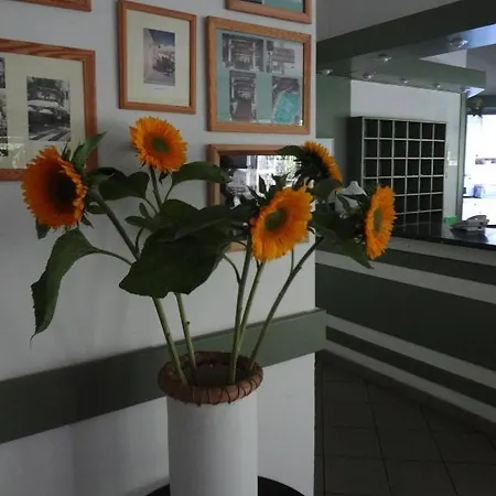 Flora